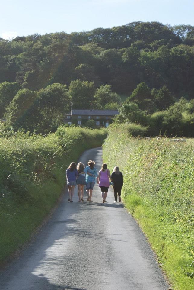 Group of five people walking down a country lane with high hedges and trees in distance